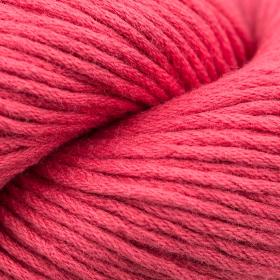 Photo of 'Organic Cotton Skinny' yarn