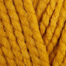 Photo of 'Seriously Chunky' yarn