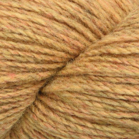 Photo of 'Patagonia' yarn