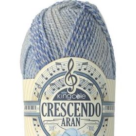 Photo of 'Crescendo Aran' yarn