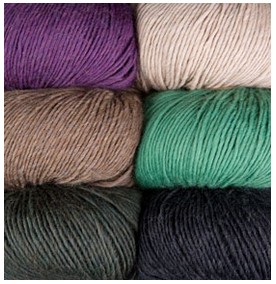 Photo of 'Full Circle Worsted' yarn