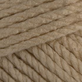 Photo of 'Simply Super Chunky' yarn