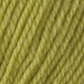 Photo of 'Life DK' yarn