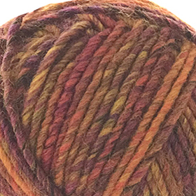 Photo of 'Botanics Chunky' yarn